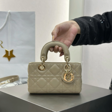 디올 마이크로 레이디 디조이 백 파우더 베이지