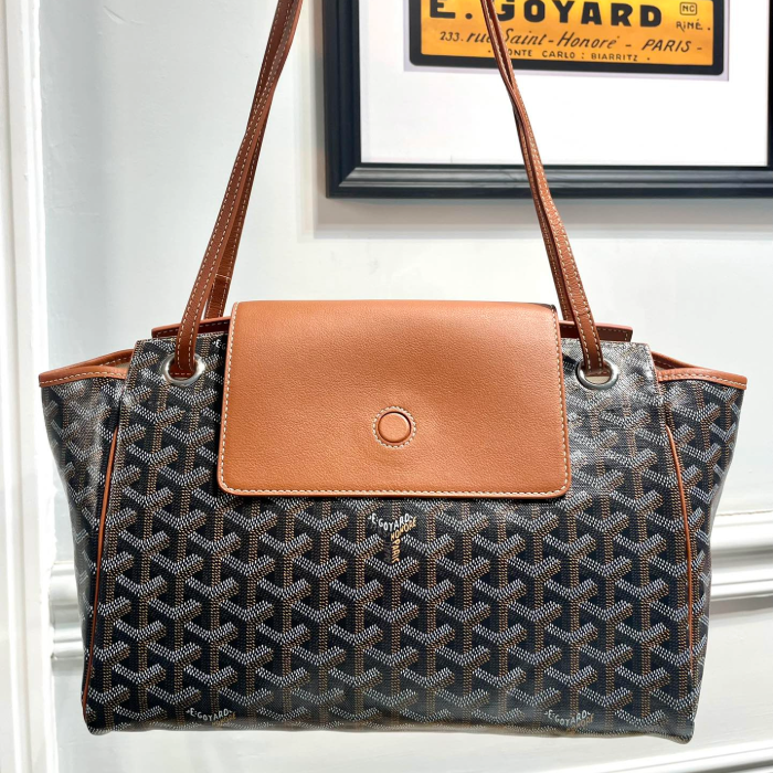 고야드 루에뜨 PM 블랙텐