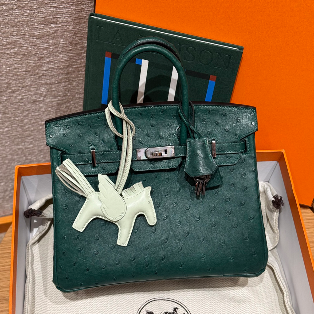 올수공 에르메스 버킨 25 Z6/malachite 타조 가죽 실버 하드웨어