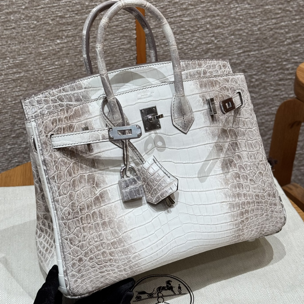 올수공 에르메스 버킨 25 히말라야 악어 가죽 실버 하드웨어